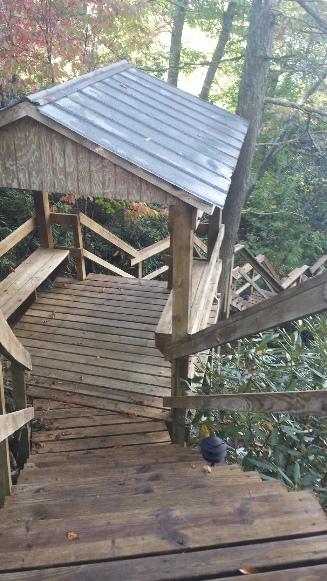 Metal roofed shelter over wooden steps on a wooded walkway — Skylight Repair & Installation work by our crew in Bokeelia